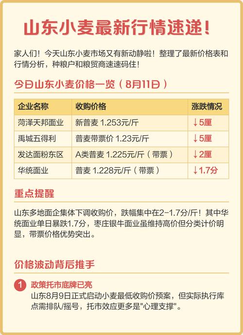 各地麦子最新行情价格如何？-图2