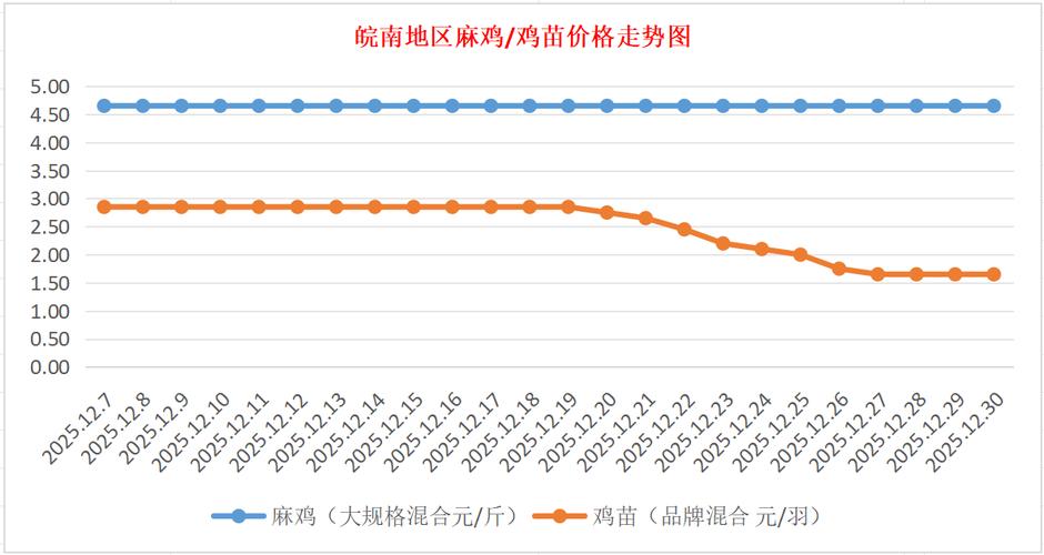 今日817规格价格具体是多少？-图3