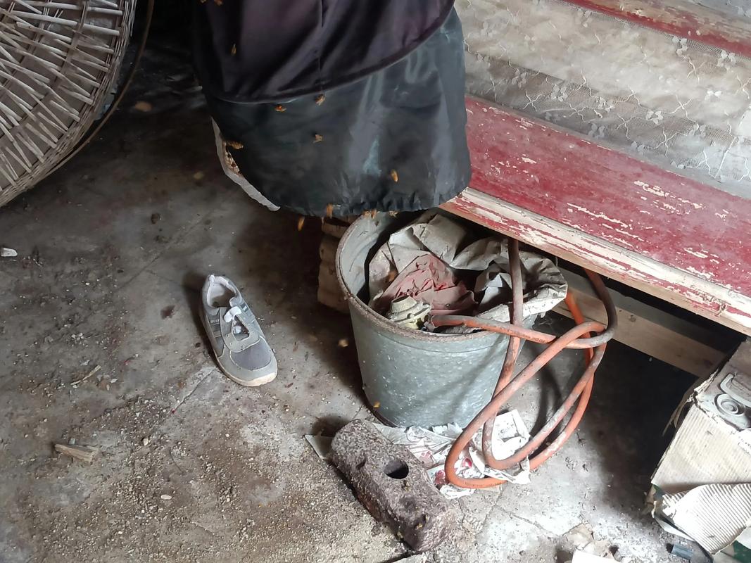 中华蜜蜂石洞诱捕技术怎么操作？-图2