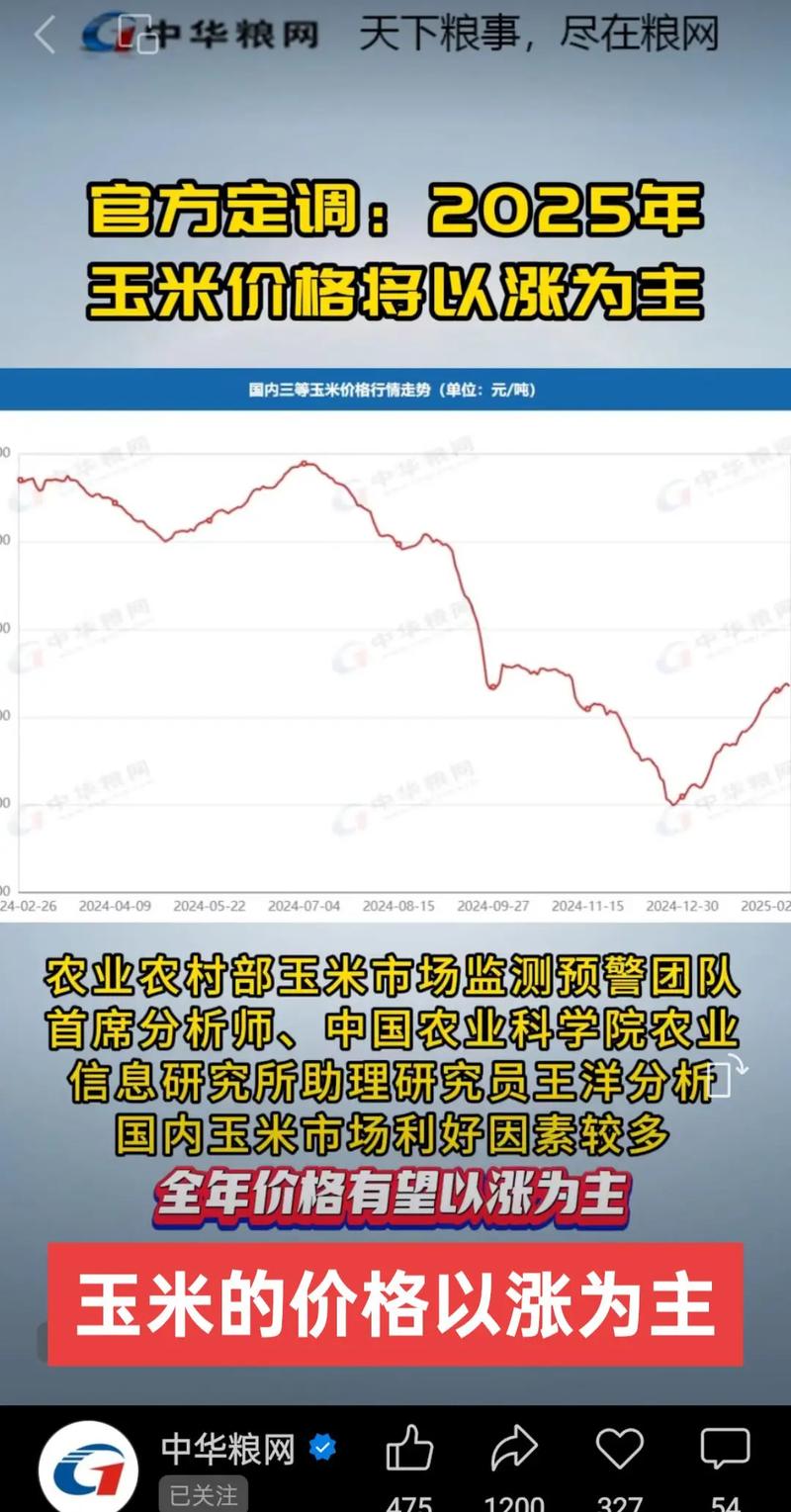 山西谷子价格后市如何？-图1