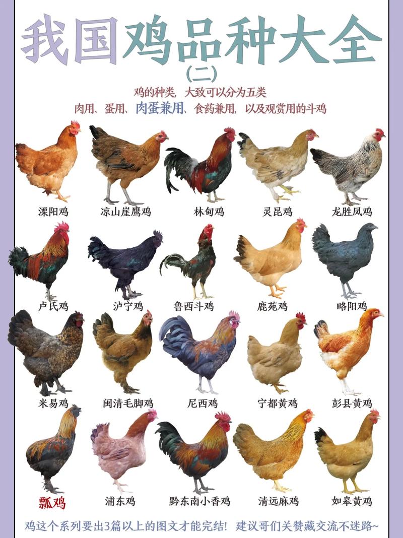 常见养殖品种有哪些？图片大全能看吗？-图1