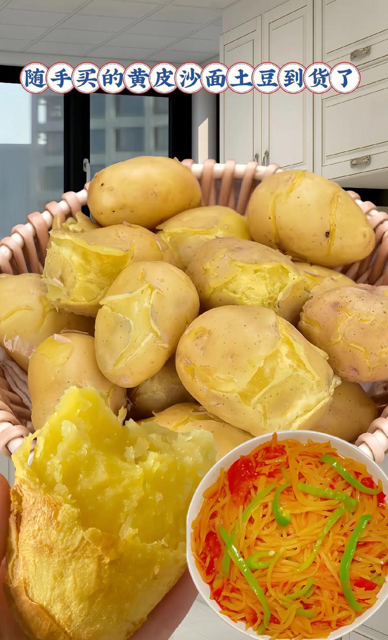 东北土豆哪个品种最优秀？-图1