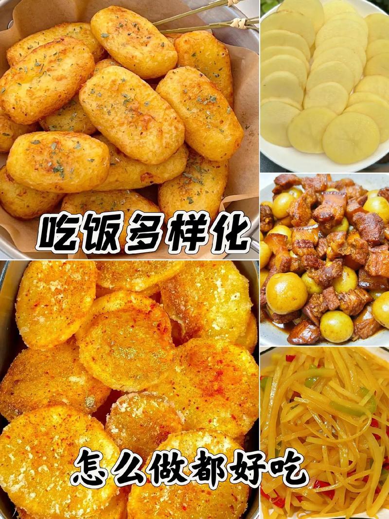 东北土豆哪个品种最优秀？-图2