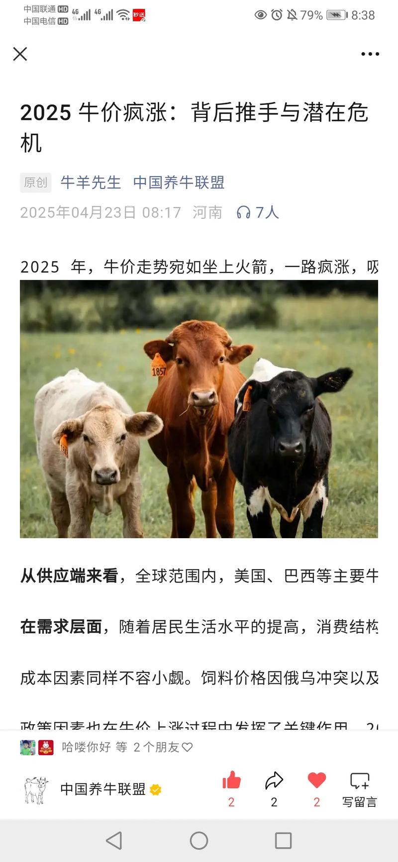 2025活牛价格会涨还是会跌？-图2