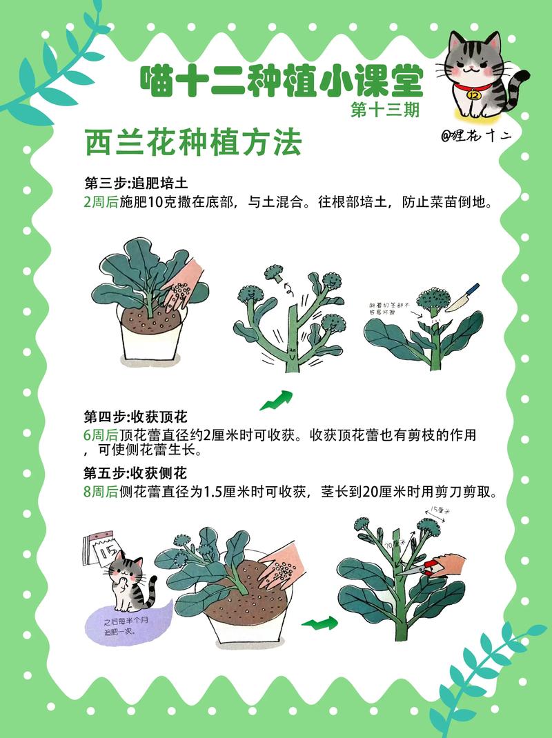 花卉种植技术有哪些关键要点？-图1