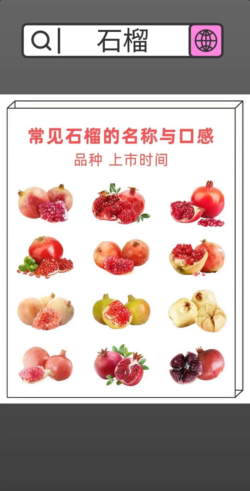 石榴常见品种图片大全-图2