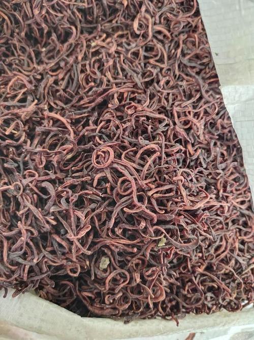 养殖蚯蚓晒干技术有哪些关键步骤？-图3