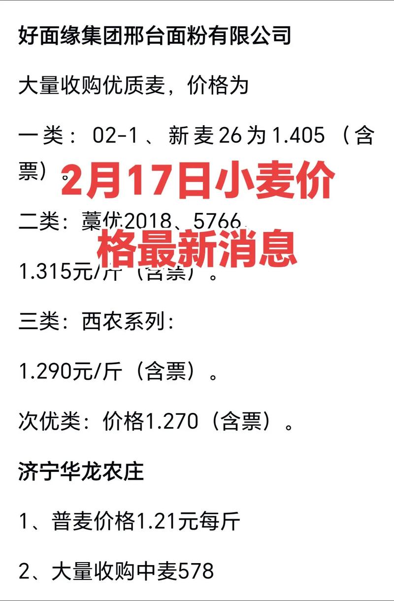 商丘今日小麦最新价格多少？-图1