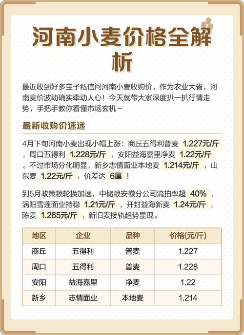 商丘今日小麦最新价格多少？-图2