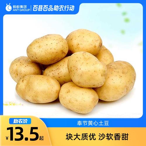 马铃薯哪个品种最畅销？-图2