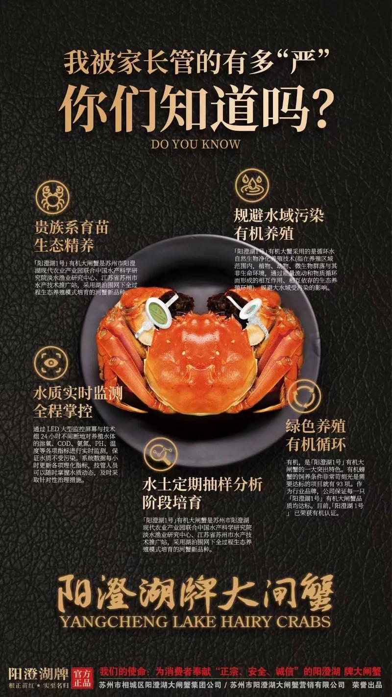 螃蟹养殖技术有哪些关键要点？-图3