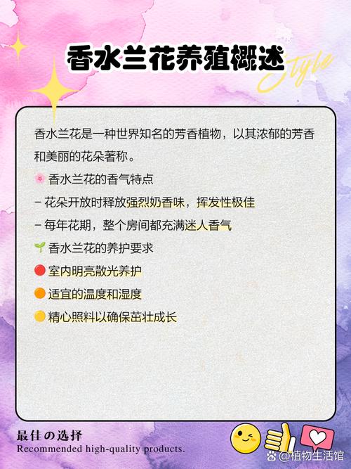 荷兰进口兰花养殖技术有何要点？-图1