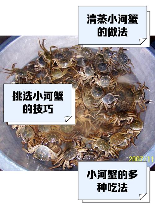 河蟹养殖水草选哪些品种合适？-图3