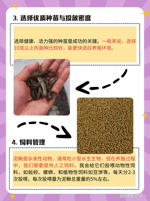 泥鳅黄鳝生态养殖技术怎么掌握？-图3