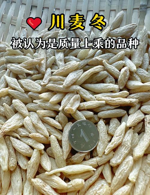 麦冬价格最新行情如何？-图3