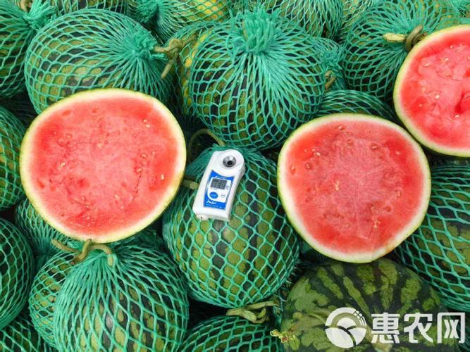 大棚西瓜品种有哪些？-图1