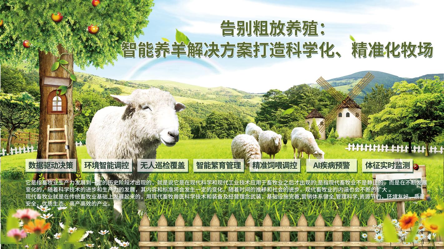 羊饲养管理技术要点有哪些？-图1