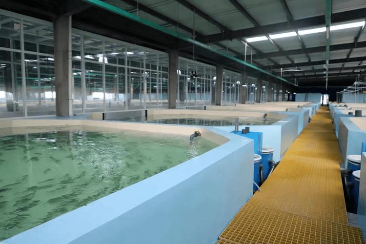 国外顶尖水产养殖技术有哪些核心突破？-图1