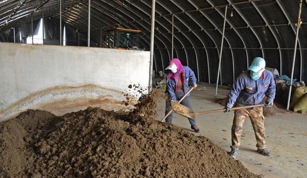 央视蚯蚓养殖技术视频靠谱吗？-图3