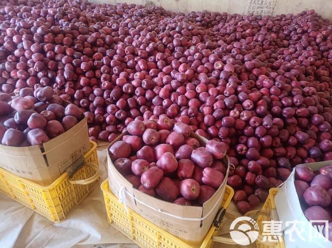 甘肃天水养牛价格多少钱一头？-图2