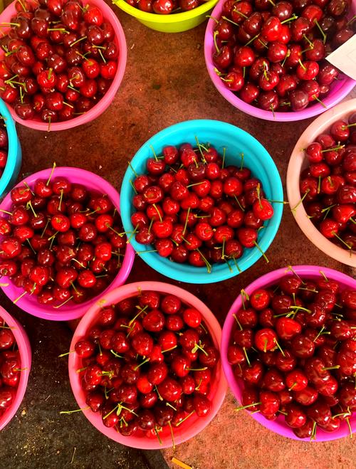 大连樱桃品种哪家强？-图3