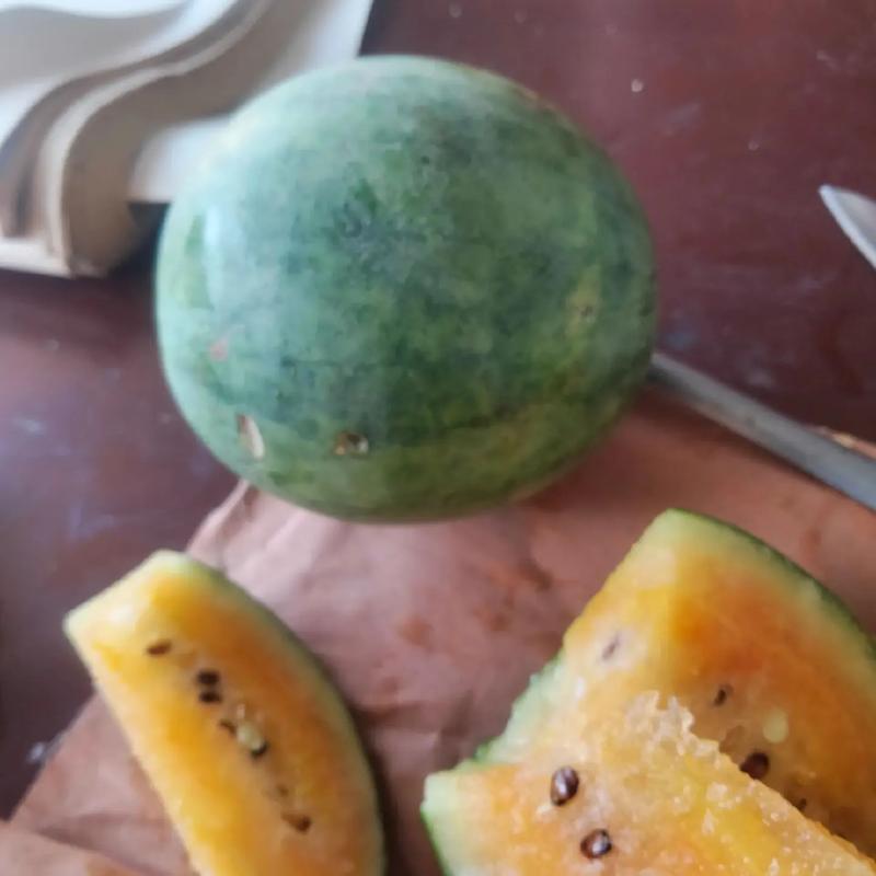 小型西瓜品种有哪些？-图3