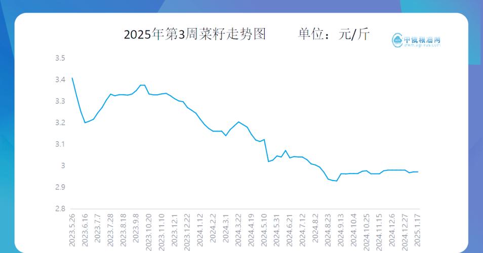 2025油菜价格会涨还是跌？-图1