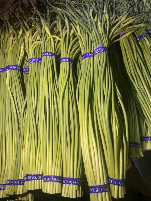 山东金乡今日蒜薹价格多少钱一斤？-图2