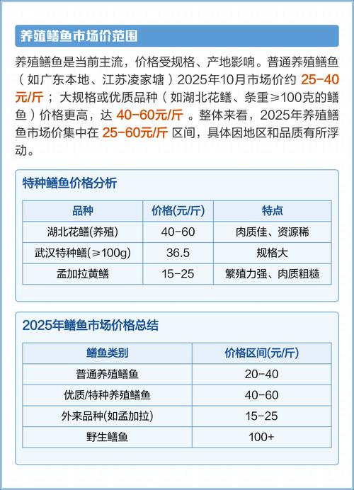2025年鳝鱼价格会涨还是跌？-图1