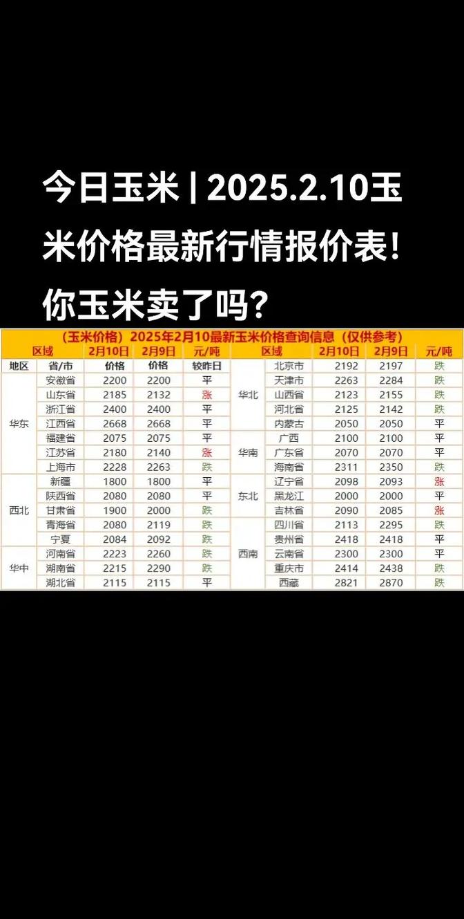 东北玉米最新价格多少钱一斤？-图1