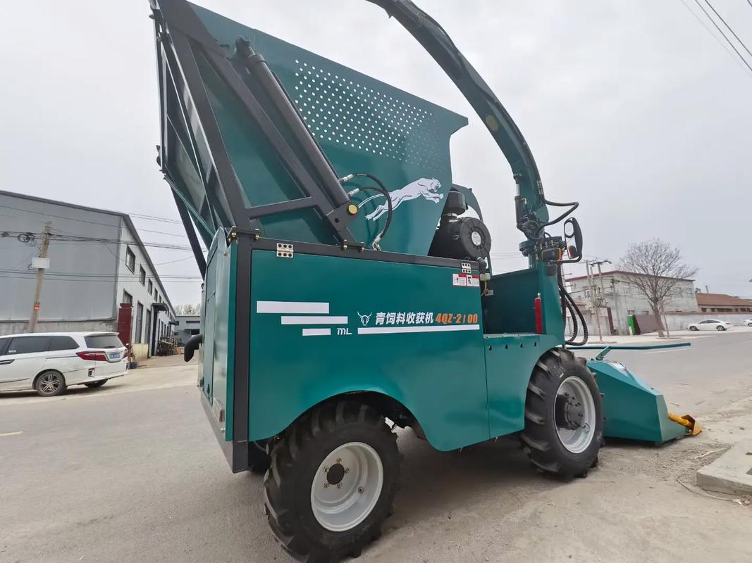 现代养牛青贮技术如何高效提升饲料利用率？-图3