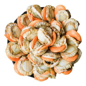 武汉海鲜批发贝类价格-图2