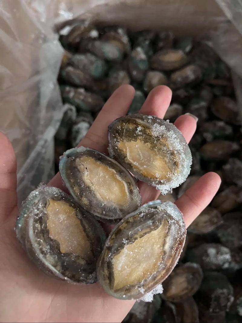 武汉海鲜批发贝类价格-图3