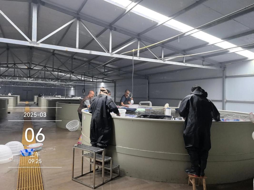 养殖鱼苗孵化技术视频-图2