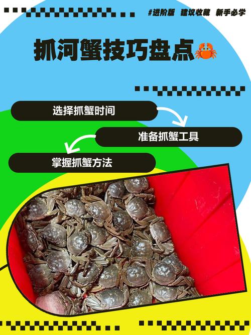 北方河蟹如何安全过冬？-图3
