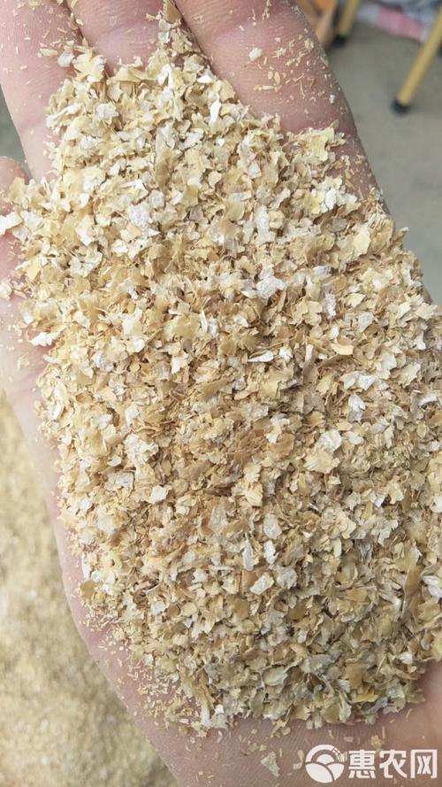 商丘麸皮价格现在多少钱？-图1