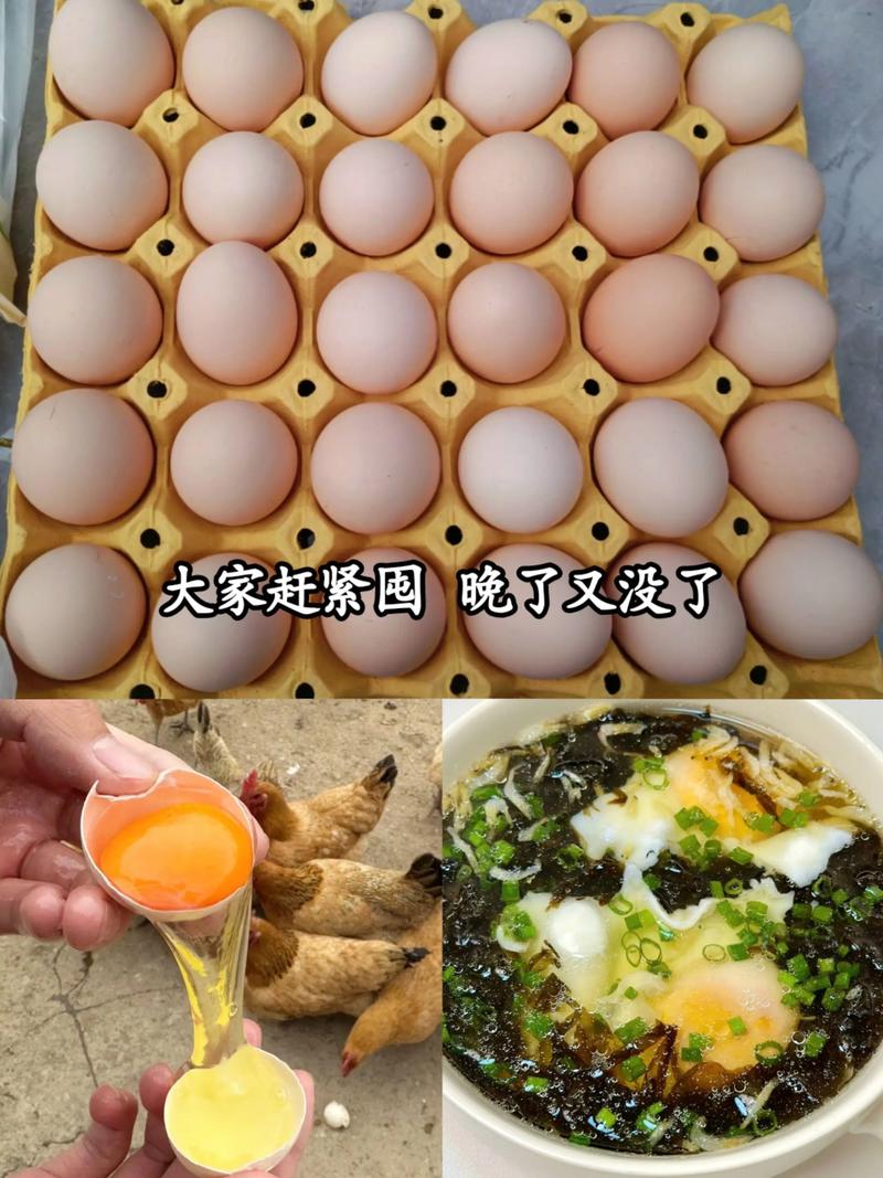 今日临沂沂南鸡蛋价格多少钱一斤？-图3