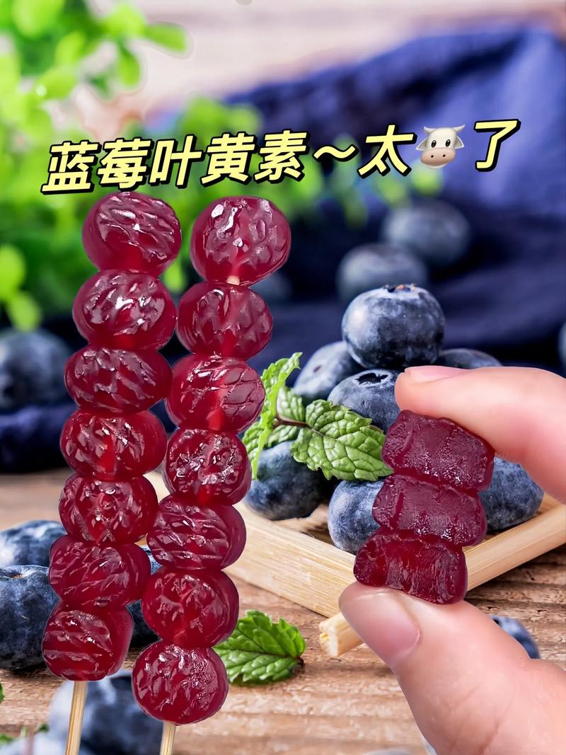 红叶蓝莓是哪个品种？-图2