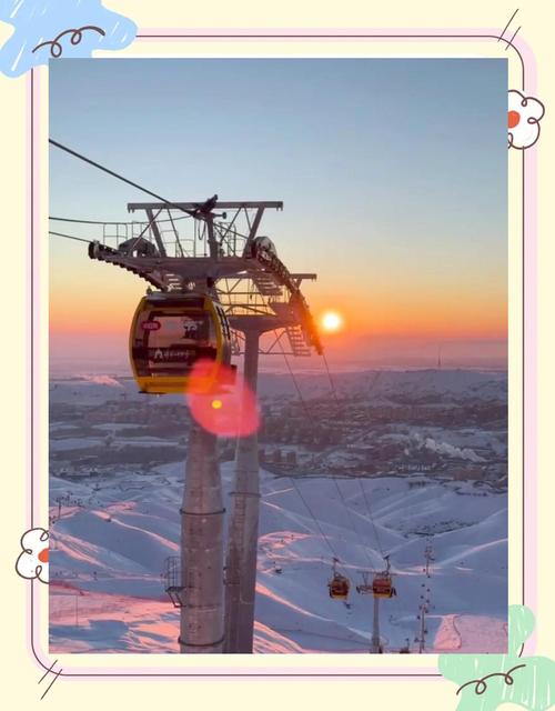 2025皮草原料价格会涨还是跌？-图3