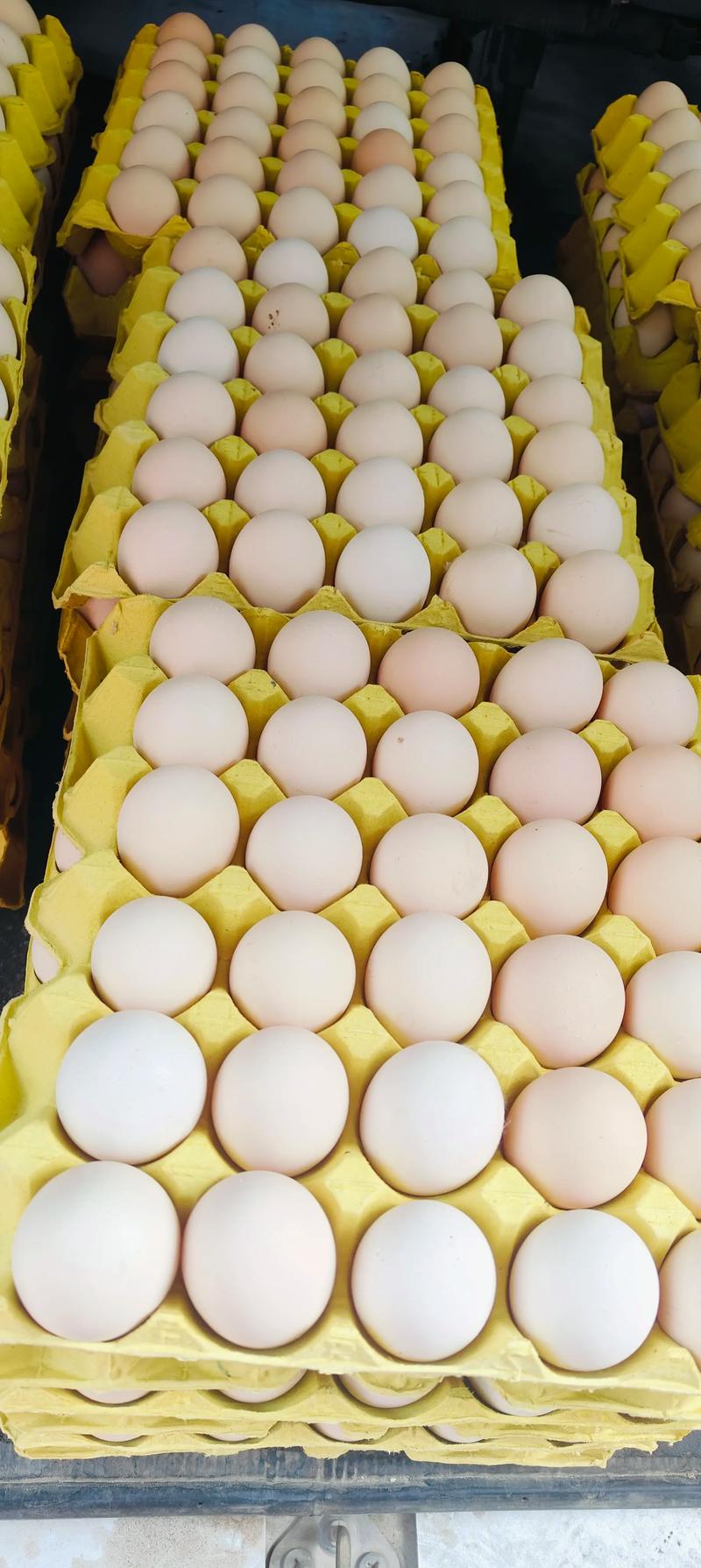 今日渭南鸡蛋价格多少钱？-图2