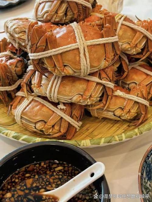 阳澄湖蟹养殖技术有哪些关键要点？-图2