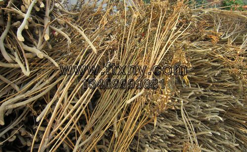 辣椒秸秆发酵肥料价格-图2