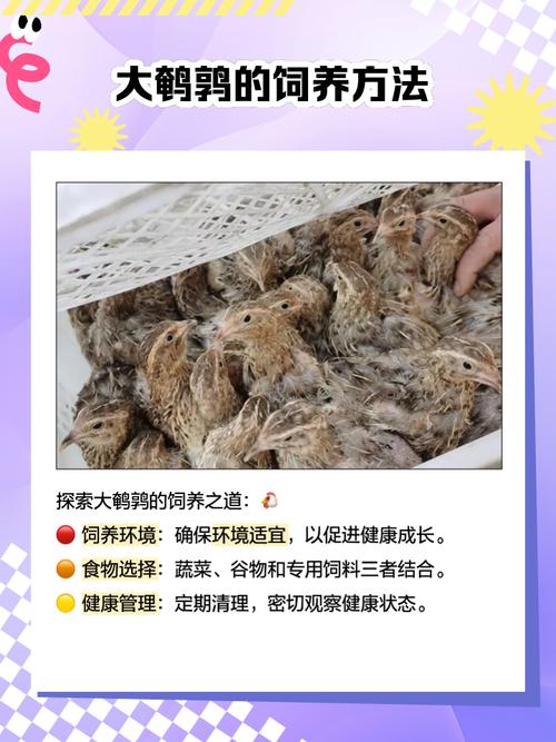 东北珍禽养殖有哪些热门品种?-图1 东北珍禽养殖有哪些热门品种?-图1