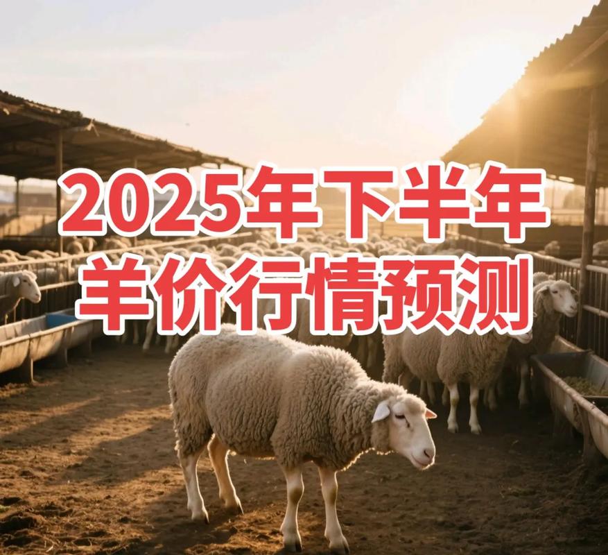 2025年羊价会涨还是会跌?-图2 2025年羊价会涨还是会跌?-图2