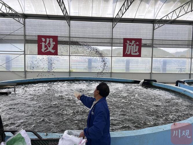 室内淡水水产养殖技术难点有哪些？-图2