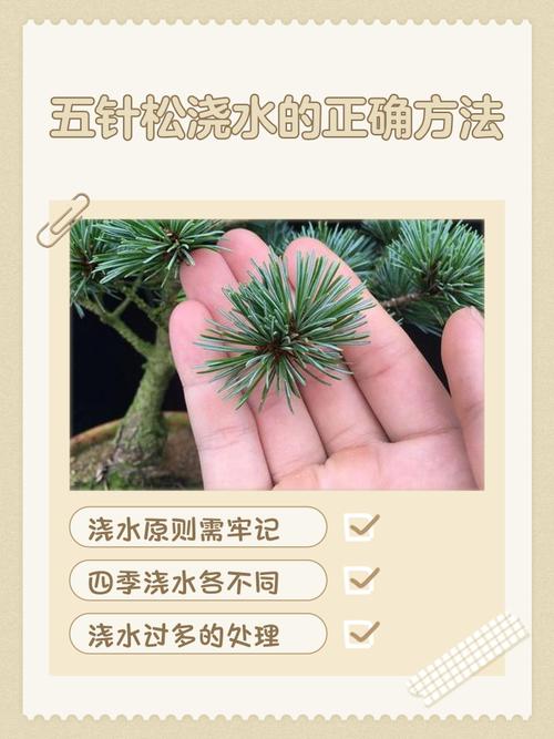 树苗栽培施肥浇水有哪些关键技术?-图2 树苗栽培施肥浇水有哪些关键技术?-图2