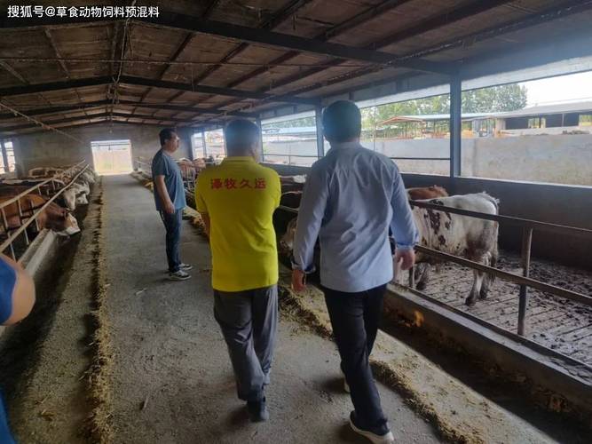 山东哪里可以养殖技术-图3