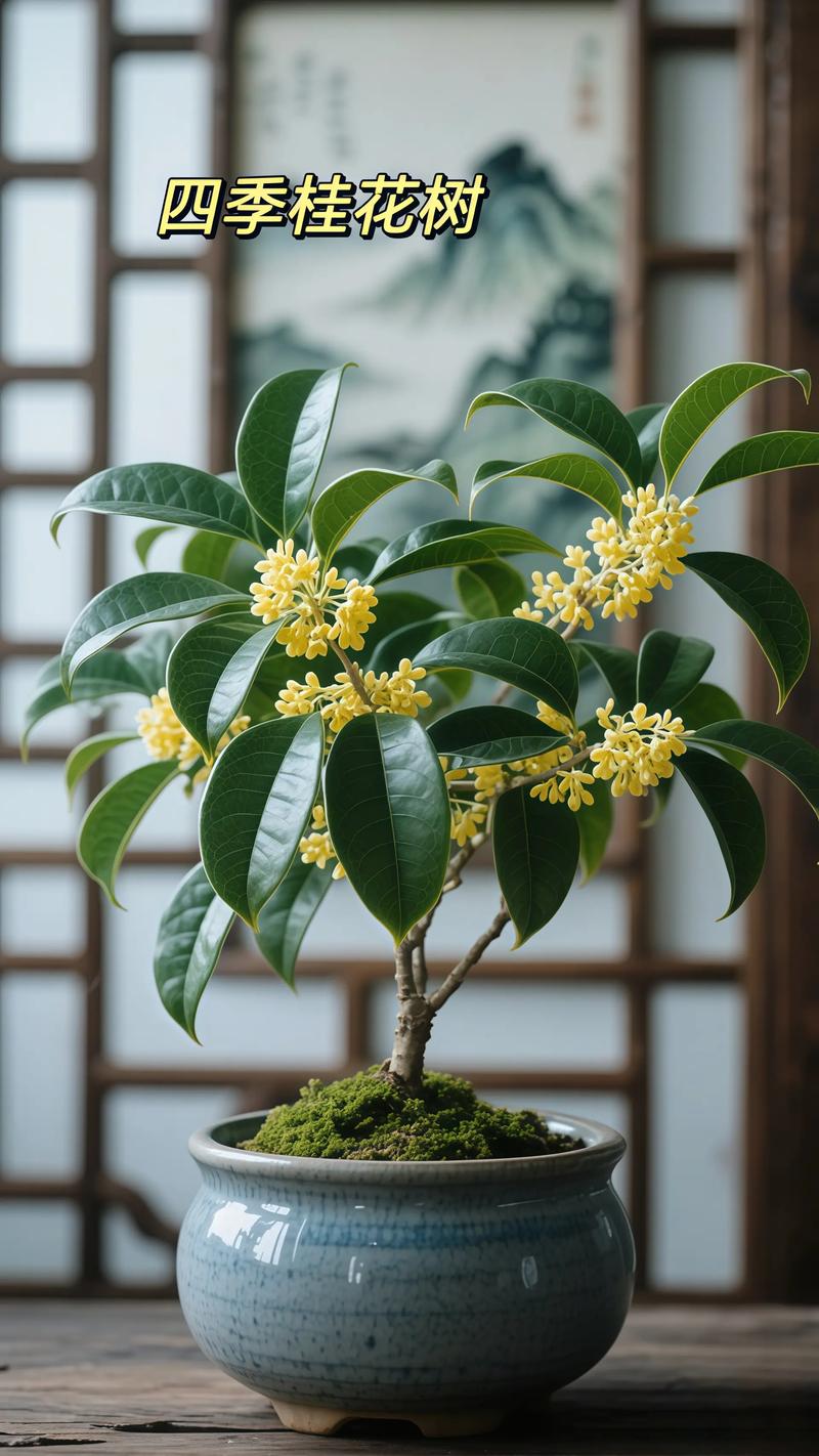 稀有桂花品种有哪些？-图3