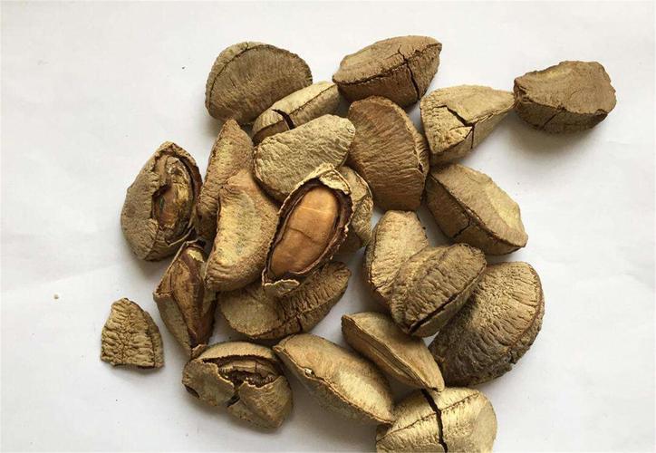 南方适合种植哪些干果品种?-图2 南方适合种植哪些干果品种?-图2