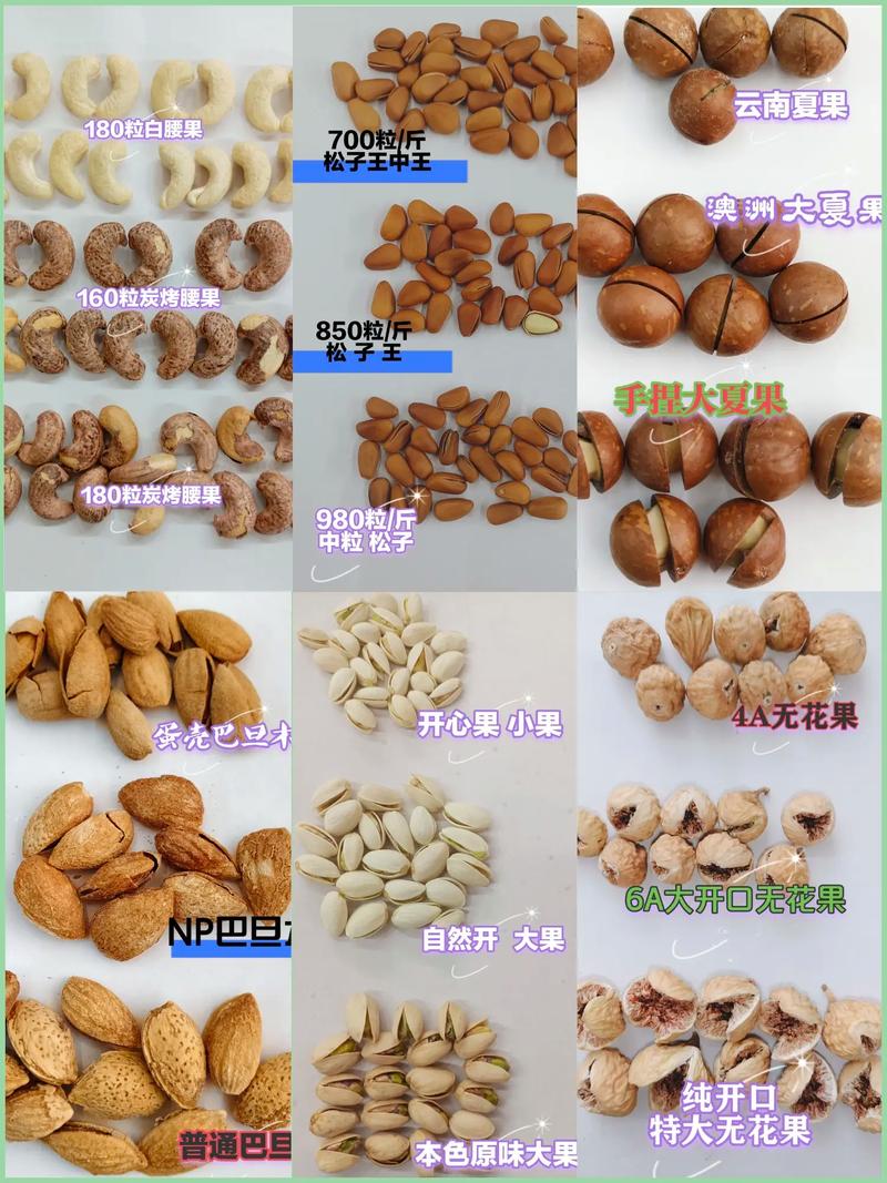 南方适合种植哪些干果品种?-图3 南方适合种植哪些干果品种?-图3